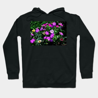 Petunias in the Garden Hoodie